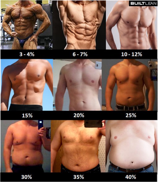 [Image: body-fat-percentage-men.jpg]